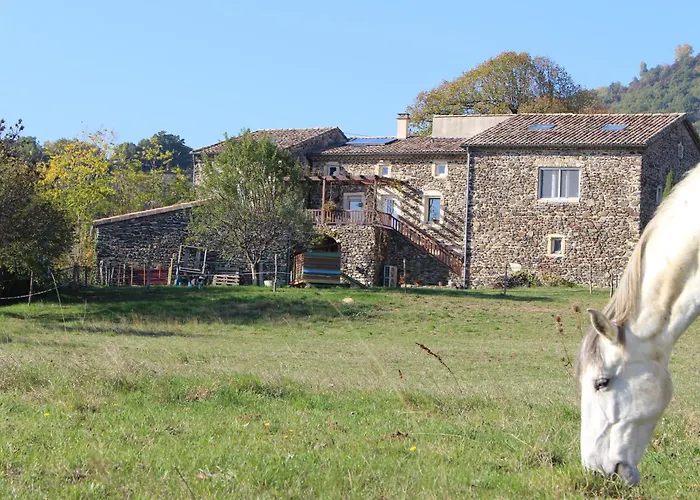 L\'Attrape Reve Insolite